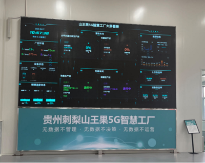 走進(jìn)貴定山王果 開(kāi)在大山里的數(shù)實(shí)融合之花